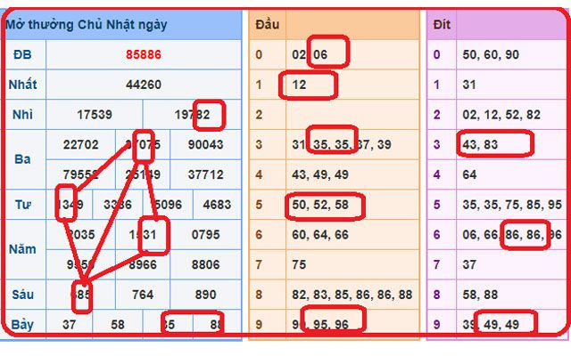 Phương pháp bắt bạch thủ lô hình quả trám