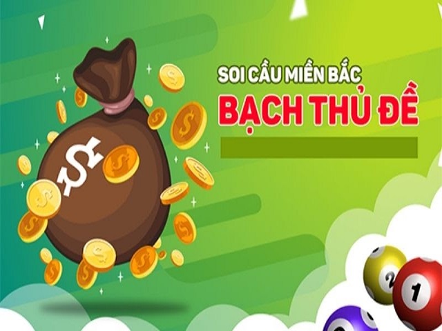 Bạch thủ đề miền Bắc là gì